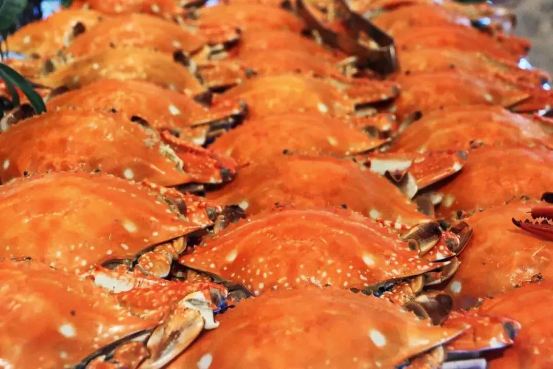 温州香格里拉广式自助,温州香格里拉套餐团购