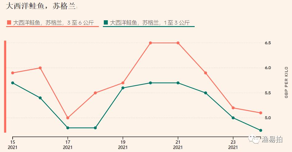 加拿大挪威智利鲑鱼,挪威三文鱼最新港口成交价格