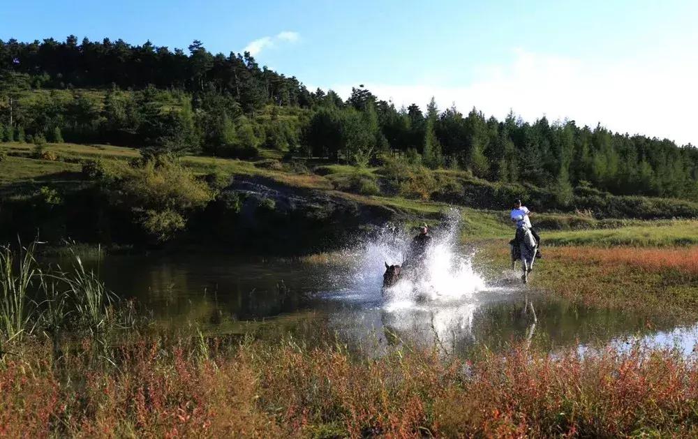 辽源东丰县五一游,辽源十一周边一日游的绝佳去处