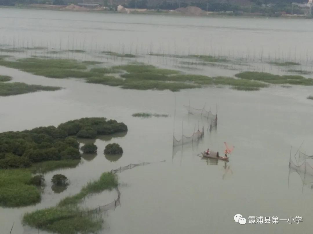 霞浦一中高一新生夏令营,霞浦县夏令营