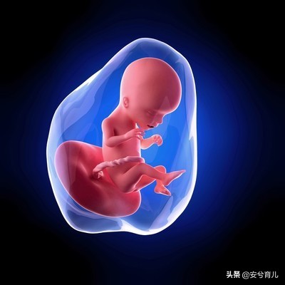 怀孕5个月的胎宝宝长什么样,5个月准妈妈体型
