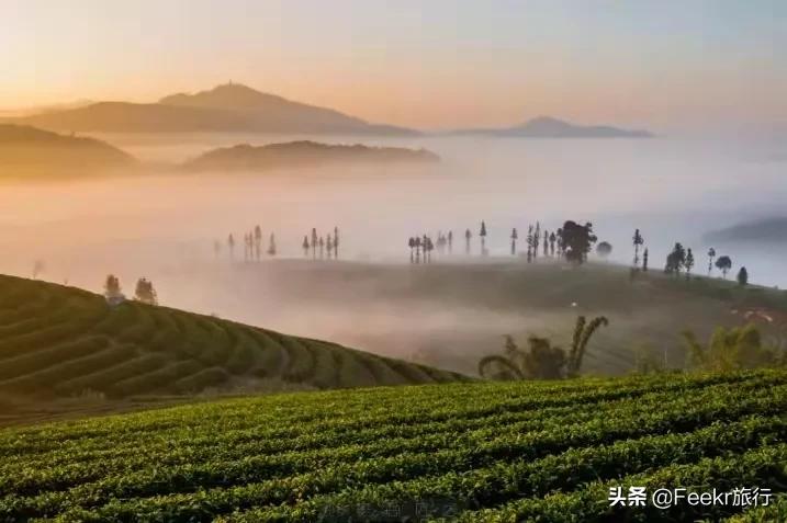 被刘昊然种草的云南小城，全网0攻略，我们花不到2k就逛吃6天