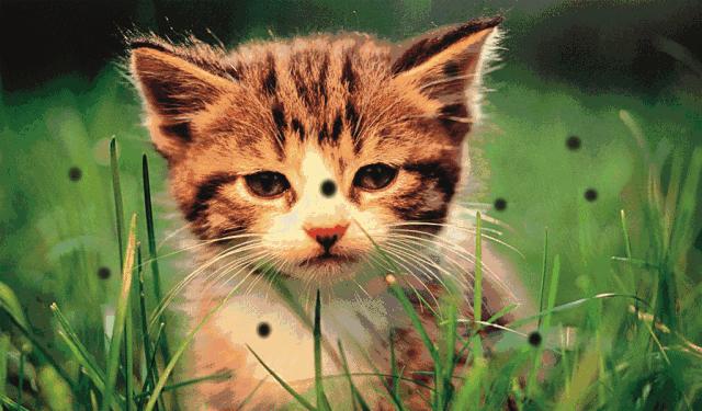 视力恢复有什么办法,视力恢复有什么方法