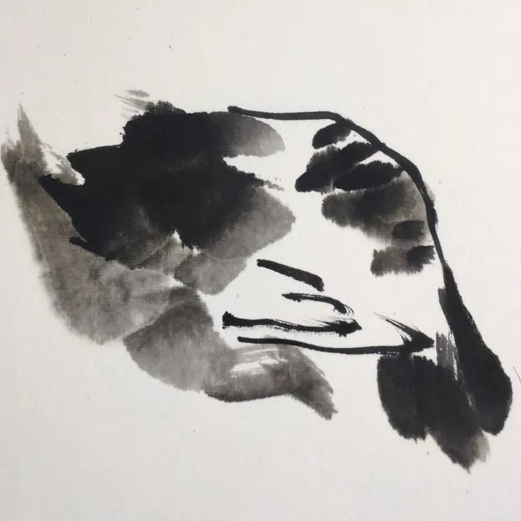 你认识吗丁啉,你认识吗