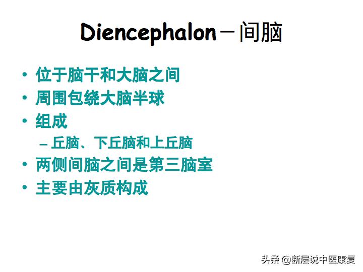 中枢神经系统断层解剖讲解,中枢神经3d解剖动画