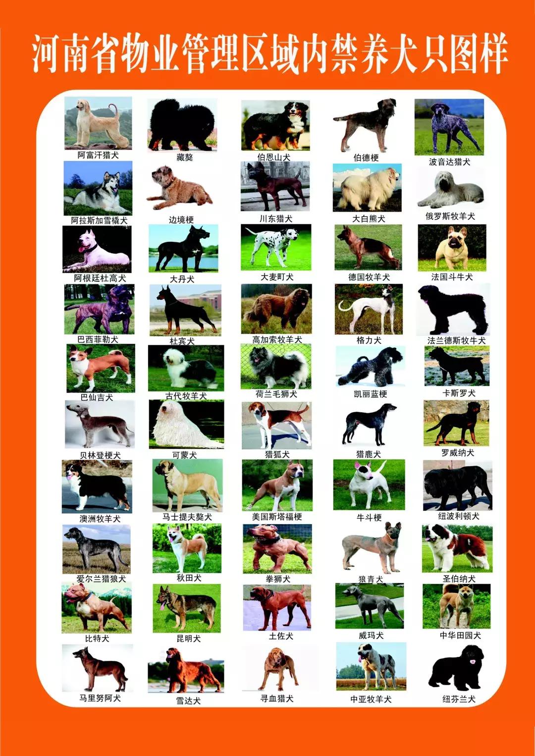 郑州铁路将有四个“主客站”；妈妈带3个孩子洗澡昏迷，2个娃死亡