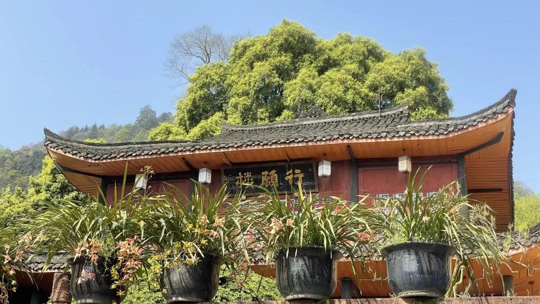 峨眉十大网红打卡地,峨眉网红打卡景点