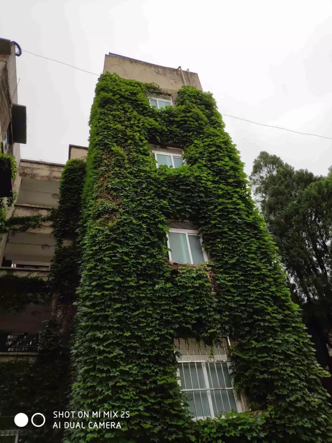 玉溪师范学院详细介绍,玉溪师范学院新消息