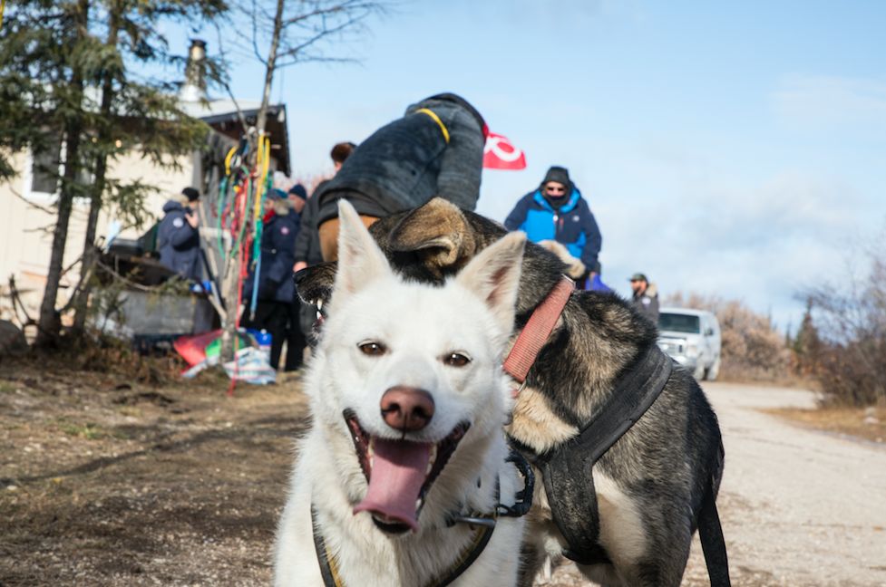 人生太南南南南了