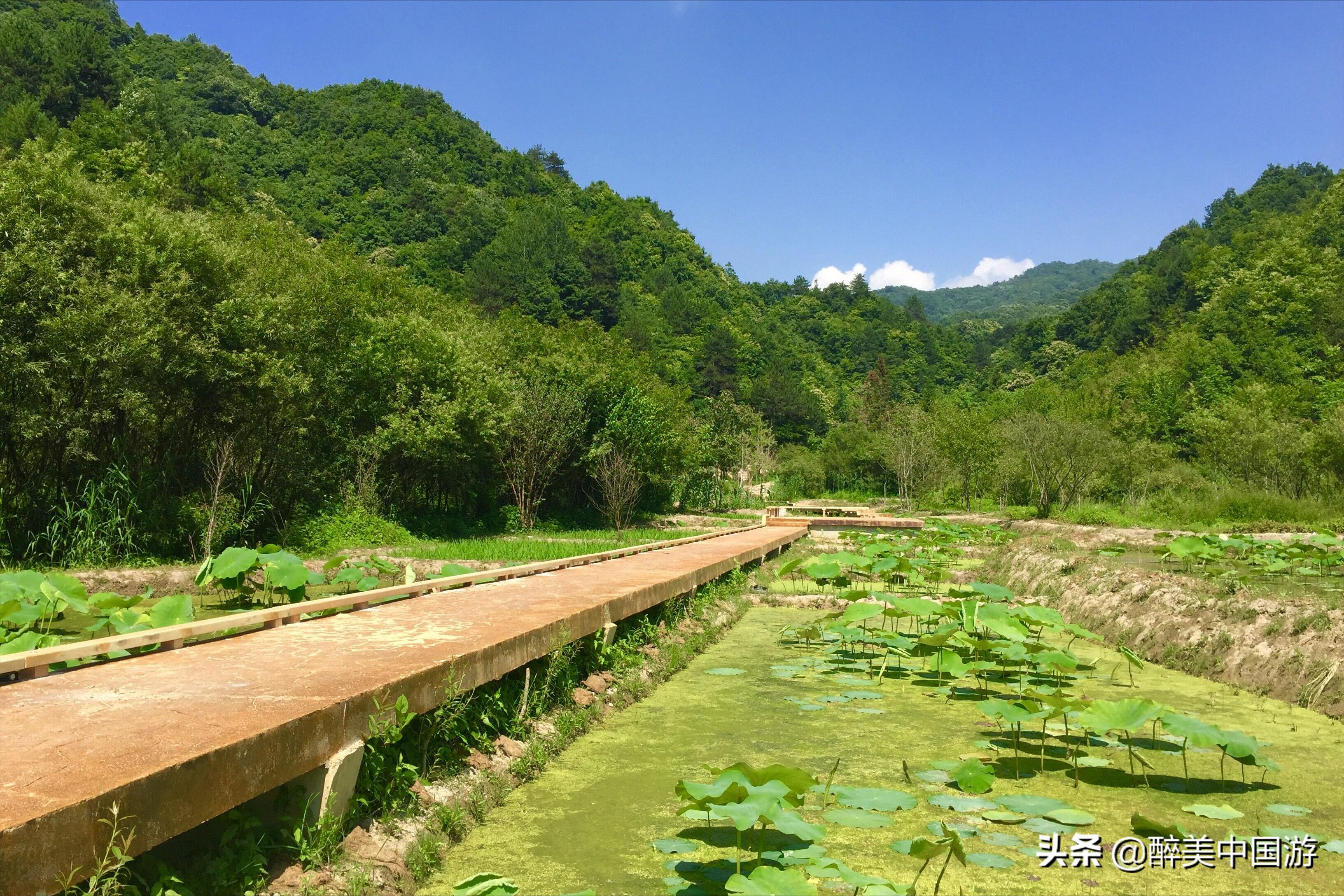 秦岭悠然山湿地景区,秦岭悠然山高山湿地景区旅游攻略