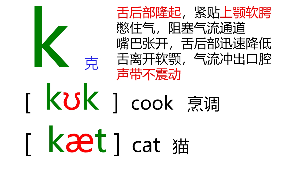 48张国际音标卡片大号,音标48个卡片