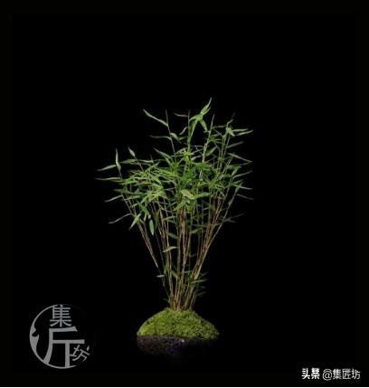 宁可食无肉不可居无竹词朗读,宁可食无肉不可居无竹带字图片