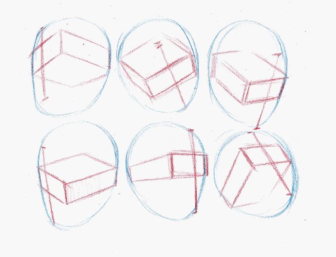 浜虹墿澶村儚缁樼敾鏁欑▼,鍔ㄦ极澶村儚缁樼敾鏁欑▼