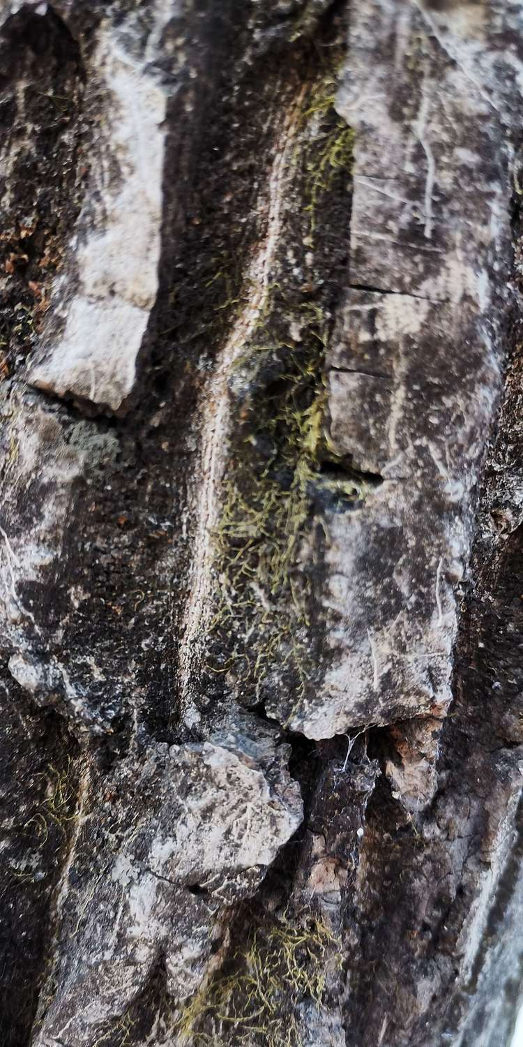 20210117独行太兴山，误入佛国秘境花石湾