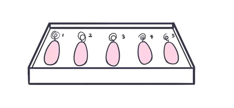 产后康复哑铃的正确锻炼方法,产后为什么哑铃总是掉出来