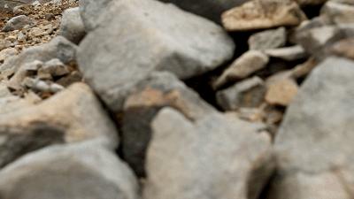 暑假莫干山旅游推荐自驾游,暑假亲子自驾莫干山