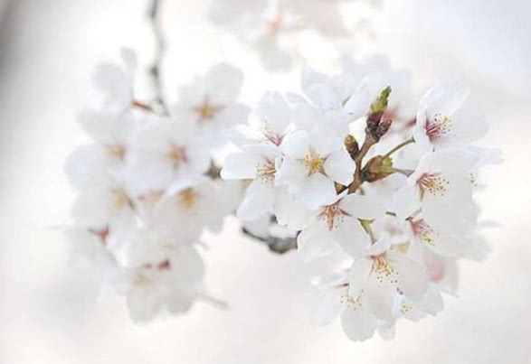 一个凤凰男的醒悟：不给女友情人节礼物，活该分手