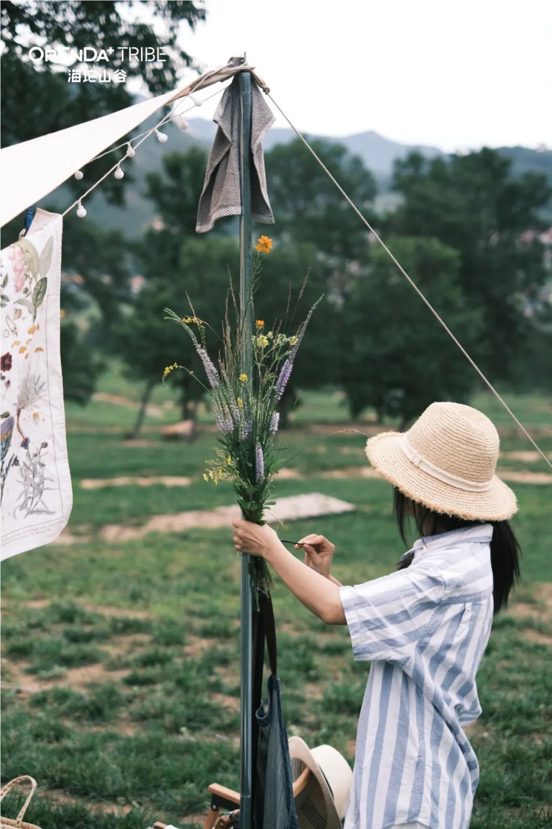 回望2020海坨耕耘路,以待2021山谷新美好