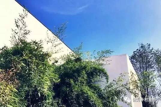 她给破败乡村动了个大手术，2年跨进“后现代”，艺术青年扎堆