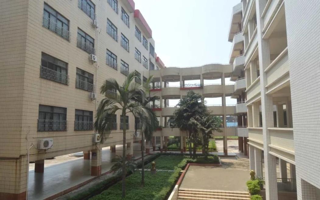 佛山十四中初中部,佛山市第十四中学排名