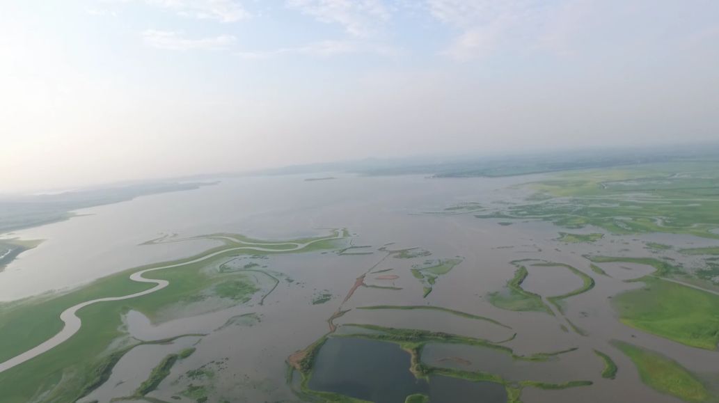 莲花山重点项目规划图,莲花山公园十二个项目是什么