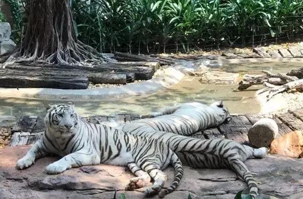 广州生日免费吃喝玩乐,广州生日优惠福利攻略