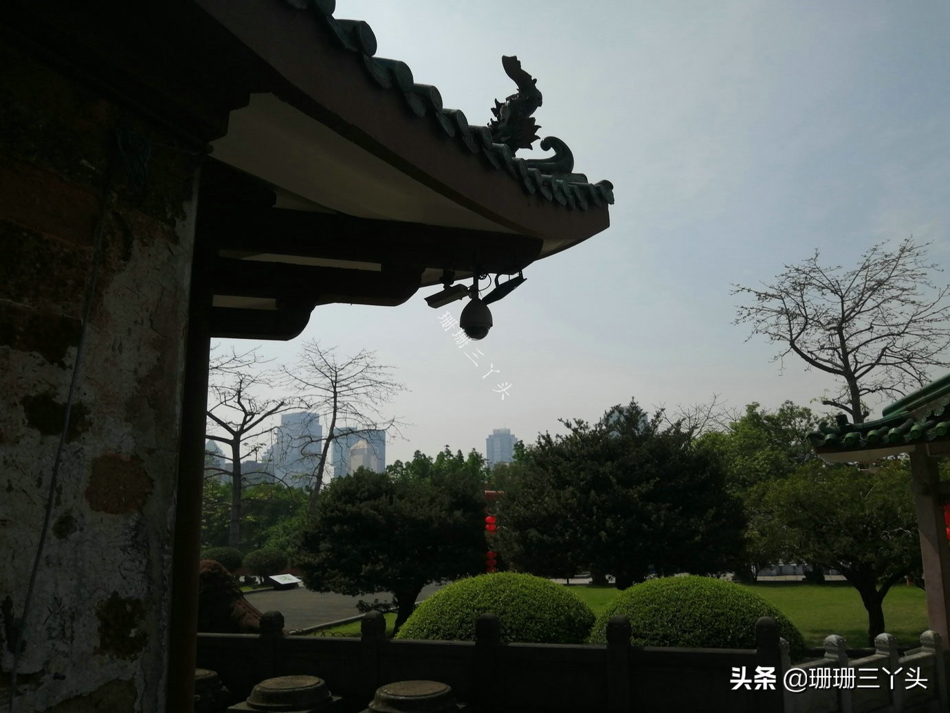 广州最高楼俯瞰广州,广州中轴线高楼