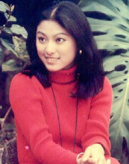 米雪陆小凤,徐小凤离婚