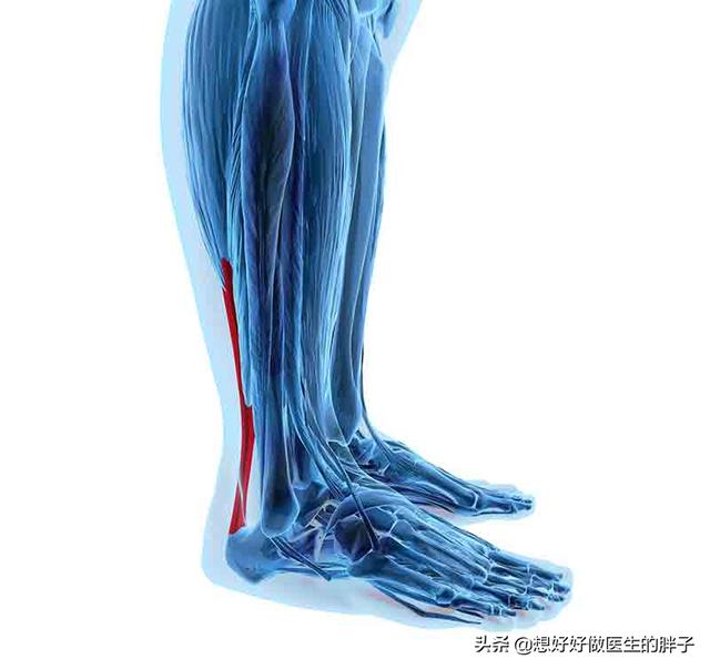 跑步脚后跟轻微疼痛可以继续跑么,时间久了不跑步突然跑步脚后跟疼