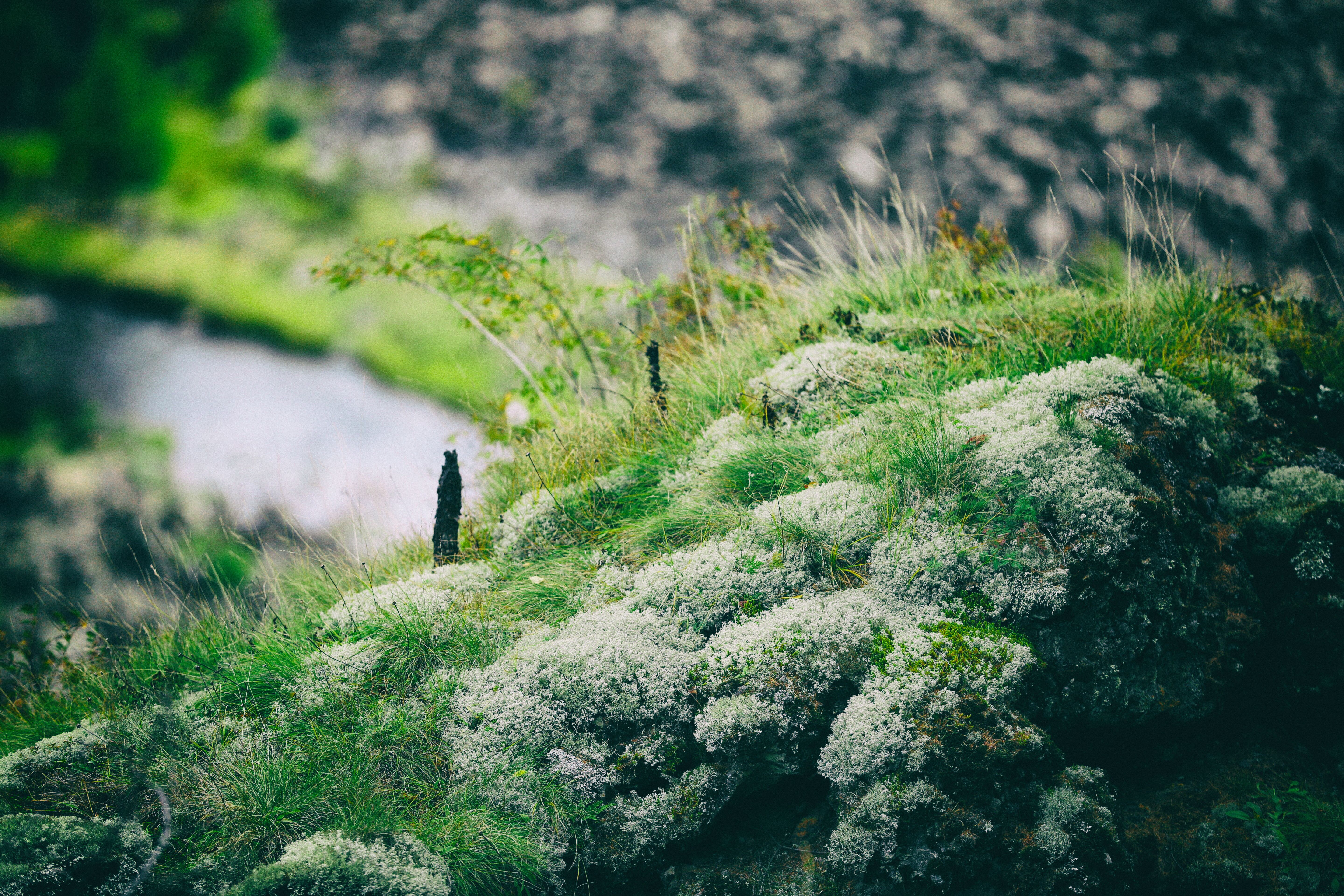 一次特别的东北旅行,历时18天的东北边境行
