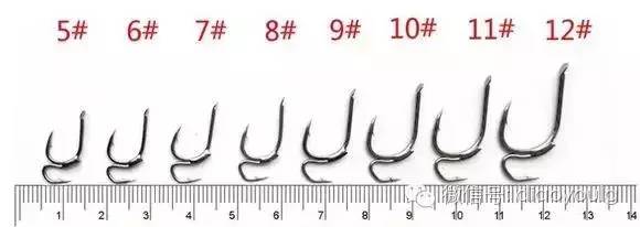 钓钩详细讲解图解大全,三钩钓鱼视频讲解