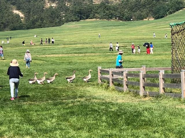 大连旅游攻略精致景点推荐,大连必去的打卡景点