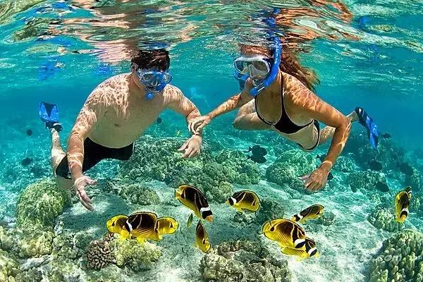 全球惊艳的10个海底世界，看到第一个就想出发！