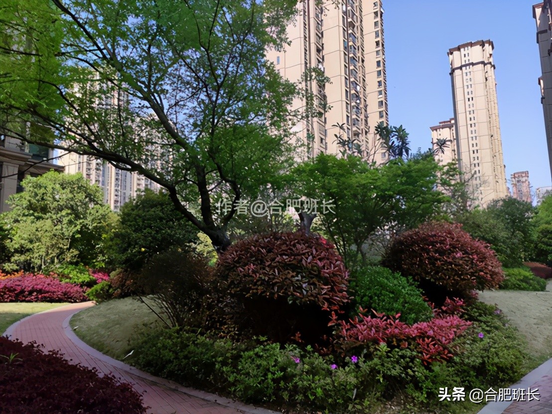 合肥滨湖新区四十六中附近,滨湖四十六中南校区有万科楼盘吗