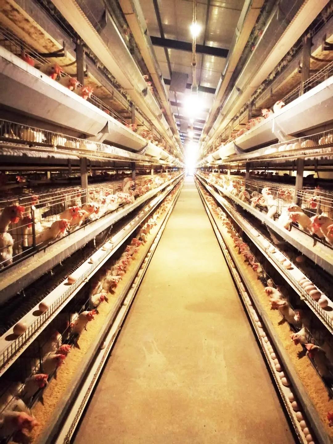 一站式便民利民服务,一站式服务助力企业