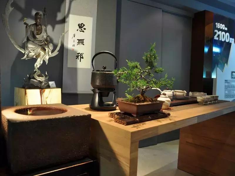 蔡澜说茶叶,蔡澜谈茶道完整视频