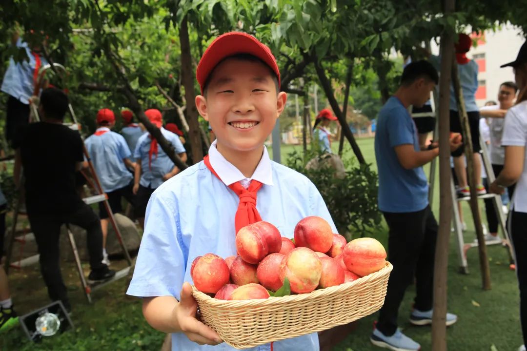 课后服务针对义务教育阶段吗,课后服务对教育教学的改变