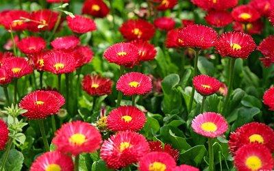 贵州黔南州2023年高考人数,都匀高考500分以上