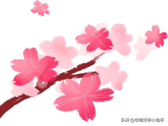 胚宝胶囊对卵巢早衰有治疗作用吗,房繄恭针灸治疗卵巢早衰成功案例