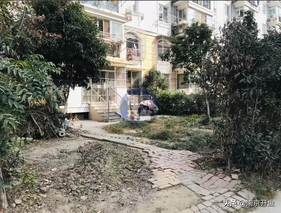 假山里住人！物业不作为，南京超级大盘终于要换物业了