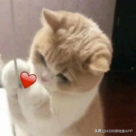 人生必玩的几款高分游戏,游戏10大震撼时刻游戏推荐