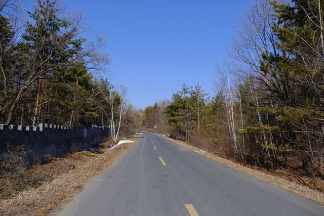 国有林场现在的情况,国有林场发展方向与展望