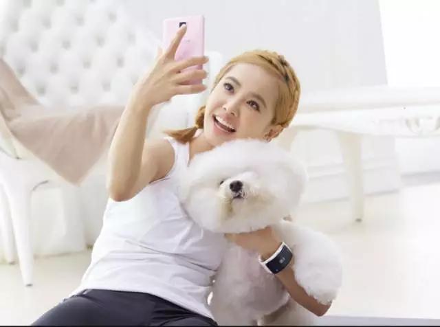 各种狗狗身价排名,各种狗的待遇对照表