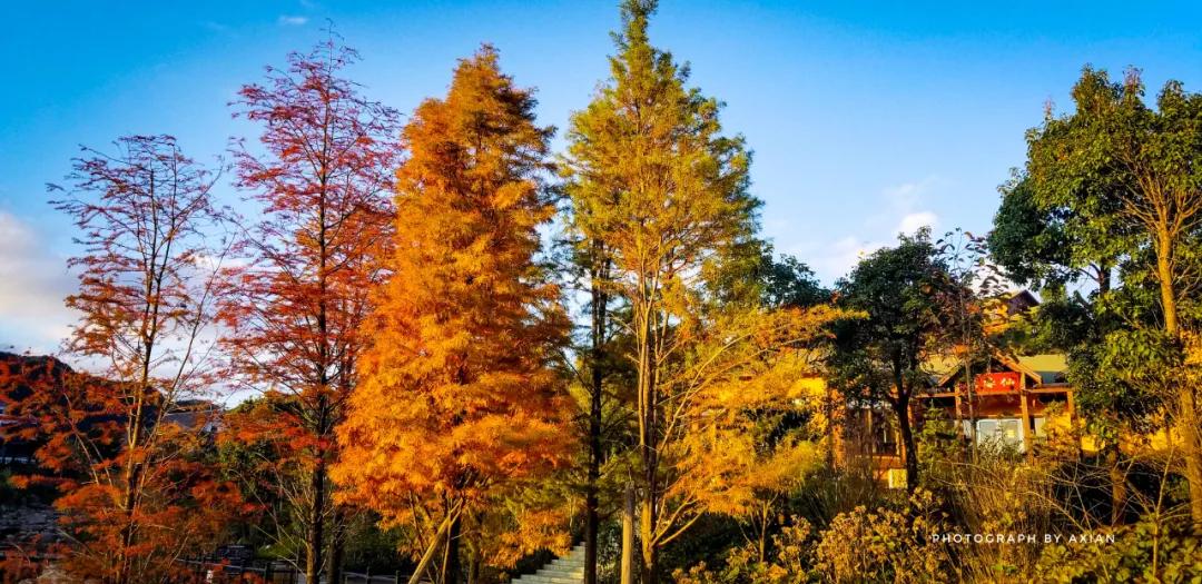 德化九仙山现场购票门票多少元,泉州德化九仙山风景区优惠团购