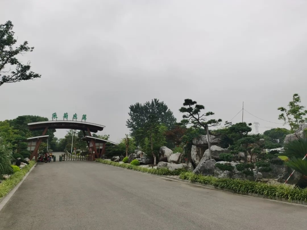 心怀淡雅不落俗,心怀淡雅