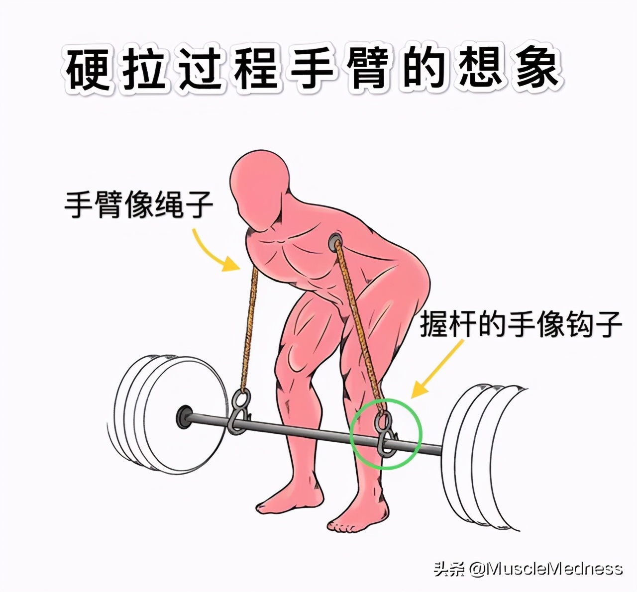 怎么改善硬拉,罗马尼亚硬拉为什么腰酸背痛