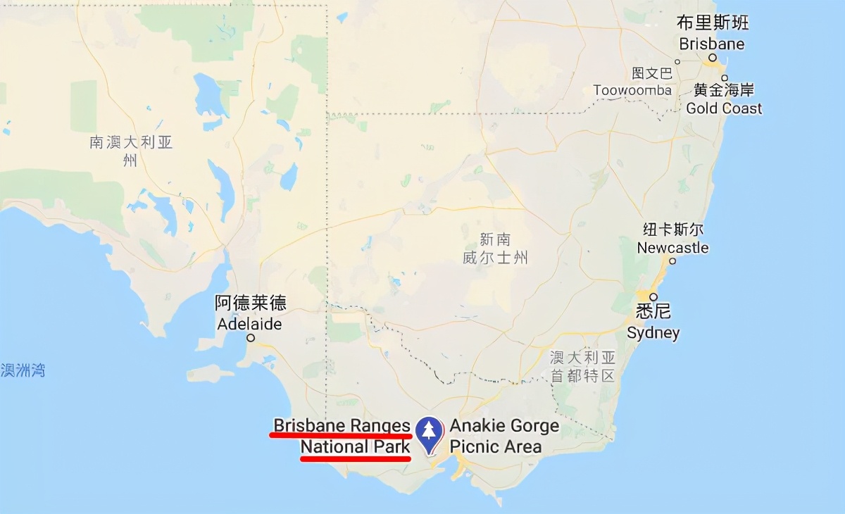 来了澳洲才知道，原来这些都是真的