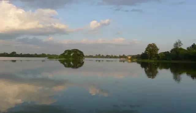 柚木缅甸哪个地方的柚木最好,缅甸最好的柚木产自哪里