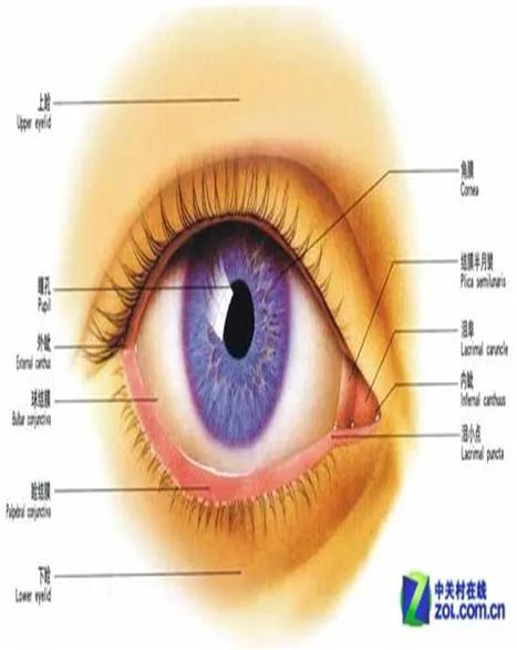 眼用半固体制剂有哪些,眼用制剂的正确使用方法