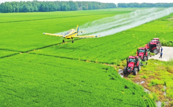 北大荒位列世界品牌500强第多少位,北大荒品牌价值已高达多少亿元